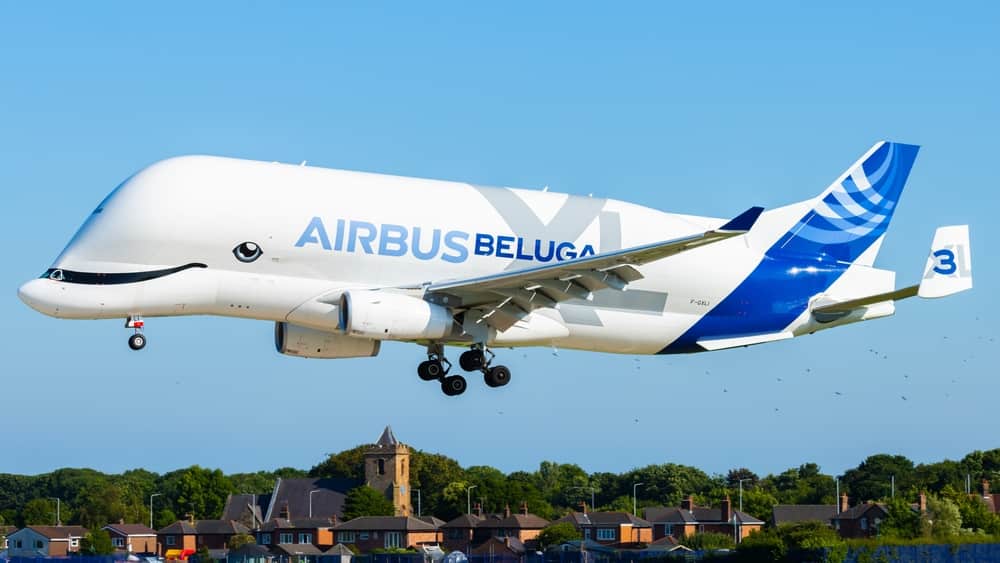 Airbus BelugaXL Frachtflugzeug mit seiner markanten Form beginnt seinen Flug.